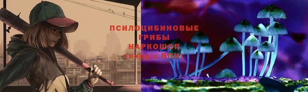 сатива Краснослободск