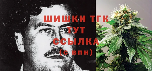 прущие крисы Коряжма