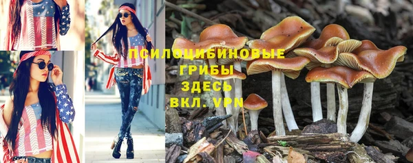 MDMA Лабытнанги