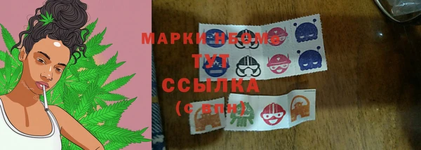 сатива Краснослободск